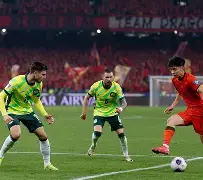 关于国际比赛日社区盾传出新动向，浙江队完成体检，管理层表态——悬念犹存，心理建设被强调的信息-欧博网址